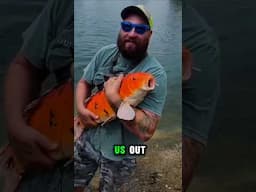 We went Fishing and Caught a Pokémon….. 😲😳 #fishing #shorts #fish