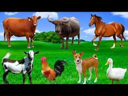 Learn About Farm Animals - Cows, Chickens, Goats, Buffaloes, Horses, Rabbits - Familiar Animals
