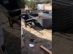 CHEAPER RAISED GARDEN BEDS NOTIFICATIONS NOT WORKING #shorts #DIY #gardening