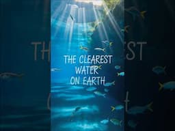 Dive into the World's Clearest Waters!