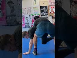 #CatchWrestling training, into a cradle when they take your back