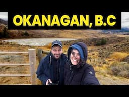 Mountain Road Trip Leads to AMAZING Wild Horse Discovery