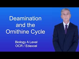 A Level Biology Revision (Year 13) "Deamination and the Ornithine Cycle"