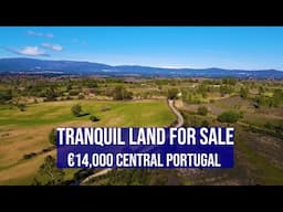 TRANQUIL LAND €14K CENTRAL PORTUGAL - HOMESTEAD FOR SALE, FUNDAO