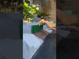Simple Fingerboard Tricks!