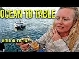 Ocean to Table: Sailing New Zealand for Seafood - Episode 146