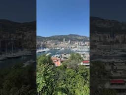 MONACO View 😮