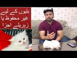 Never add these ingredients in Homemade cat food | 5 foods are toxic for cats | Urdu | Hindi