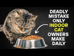 If You’re an Indoor Cat Owner, THIS Mistake Could Ruin Their Life  ( Scientists Warn )
