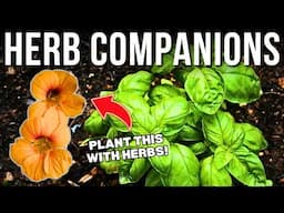 5 Must-Have Companion Plants For Lush Herbs | Companion Planting Your Herb Garden