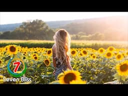 Sonicvibe - Peace Of Mind (Extended Mix)