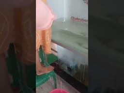 Discuss tank clean# chakraborty birds farm #