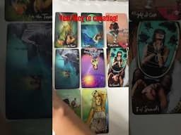 They can feel it! The ish’ is about 2 hit the fan! They’re cheating & moving on! #infidelity #tarot