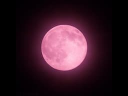 Pink Moon On Passover 2025!