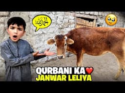 Alhamdulillah 🤲 Qurbani Ka Janwar Lelia 😱 sab se baray janwar ne meray sath kia kr dia 😭