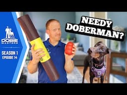 Fix CLINGY Dobermans FAST With These | Dobie Masters (S1E14)