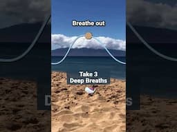 Take 3 Deep Breaths  #relaxing #breathetaking #breathingexercise