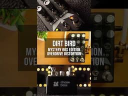 Chase Bliss Dirt Bird Limited Edition Overdrive Distortion #guitarpedals #guitar #chasebliss #bird
