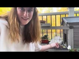 New Garden Friends | The Reckless Garden