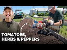 Planting Herbs in Pots, Tomatoes & Peppers