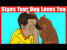 35 Signs Your Dog Loves You