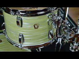 Ludwig’s Olive Oyster – A Vintage Classic That Never Fades