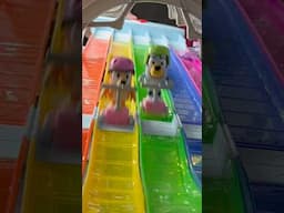 Bluey Rainbow Race
