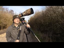 Morning Bird Photography Vlog - Shooting High Up in the Trees