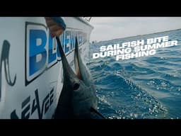 Summertime Mahi, Sails, Tuna, Kings & Sharks! Non Stop Action!