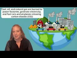 The Role of Human Impact in Climate Change: From Deforestation to Global Warming