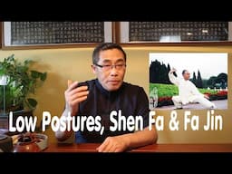 Hai Yang's Practice Proverb Series (57): Low Postures, Shen Fa and Fa Jin