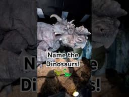 How many dinosaurs can you name?! #jurassicworld #jurassicpark