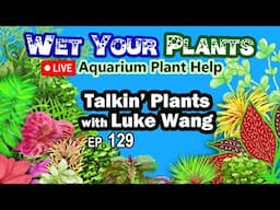 Aquarium Plant Talk, Q&A with Luke Wang (WYP 129)