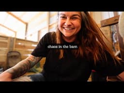 Chaos in the barn (Do you like to talk about these things?) | VLOG