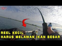 TEST REEL CAKRAM D100HG FT JORAN SAMBUNG 4 ROTAN 664 GEN 2
