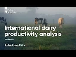 International Dairy Productivity Analysis