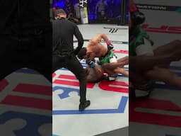 ICE. COLD. 🥶. Is this Gadzhi Rabadanov's most impressive ever KO? #MMA #PFL #Shorts