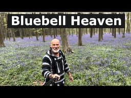 UK Forests Are Stunning Exploring With RaVan