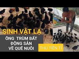 ÔNG trùm bất động sản quề quê nuôi sinh vật  lạ thủ tiền tỉ mỗi năm