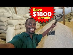 I'm Saving Money by Making My Own CHEAP Chicken Feed