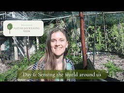 Day 6: Sensing the World Around Us