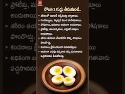 గుడ్డు తినడం వలన కలిగే ఆరోగ్య ప్రయోజనాలు| Benefits of eating Egg