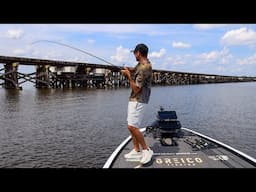 Old Train Trestle was LOADED!!