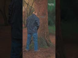 Painting trees 🌲🌳 : a silly thing to do? | Tate #art #contemporaryart