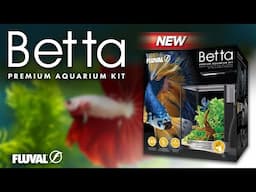 FLUVAL BETTA TANK SETUP | Unboxing & Installation