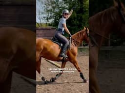 🫶🏼 #horses #лошади #equestrian #конкур #equestrianlife #лошадь #конныйспорт #equestrianstyle