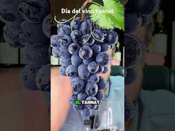 Día del tannat #bartender #wine #restaurant #vino #bebidas #sommelier #bar #bartender