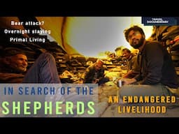 In Search of the Shepherds ● An Endangered Livelihood ● Himachal Pradesh