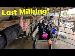 Season Over! Teat Sealing All The Cows This Year For The 1st Time