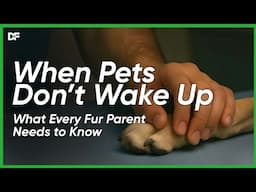 When Pets Don’t Wake Up. What Every Fur Parent Needs to Know